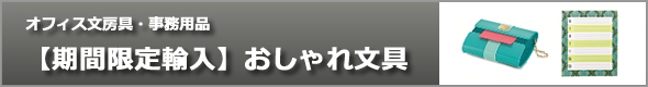 ���t���N�e�B�u�X�e�b�J�[