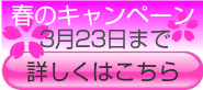 春のキャンペーン