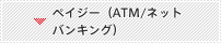 �y�C�W�[�iATM/�l�b�g�o���L���O�j